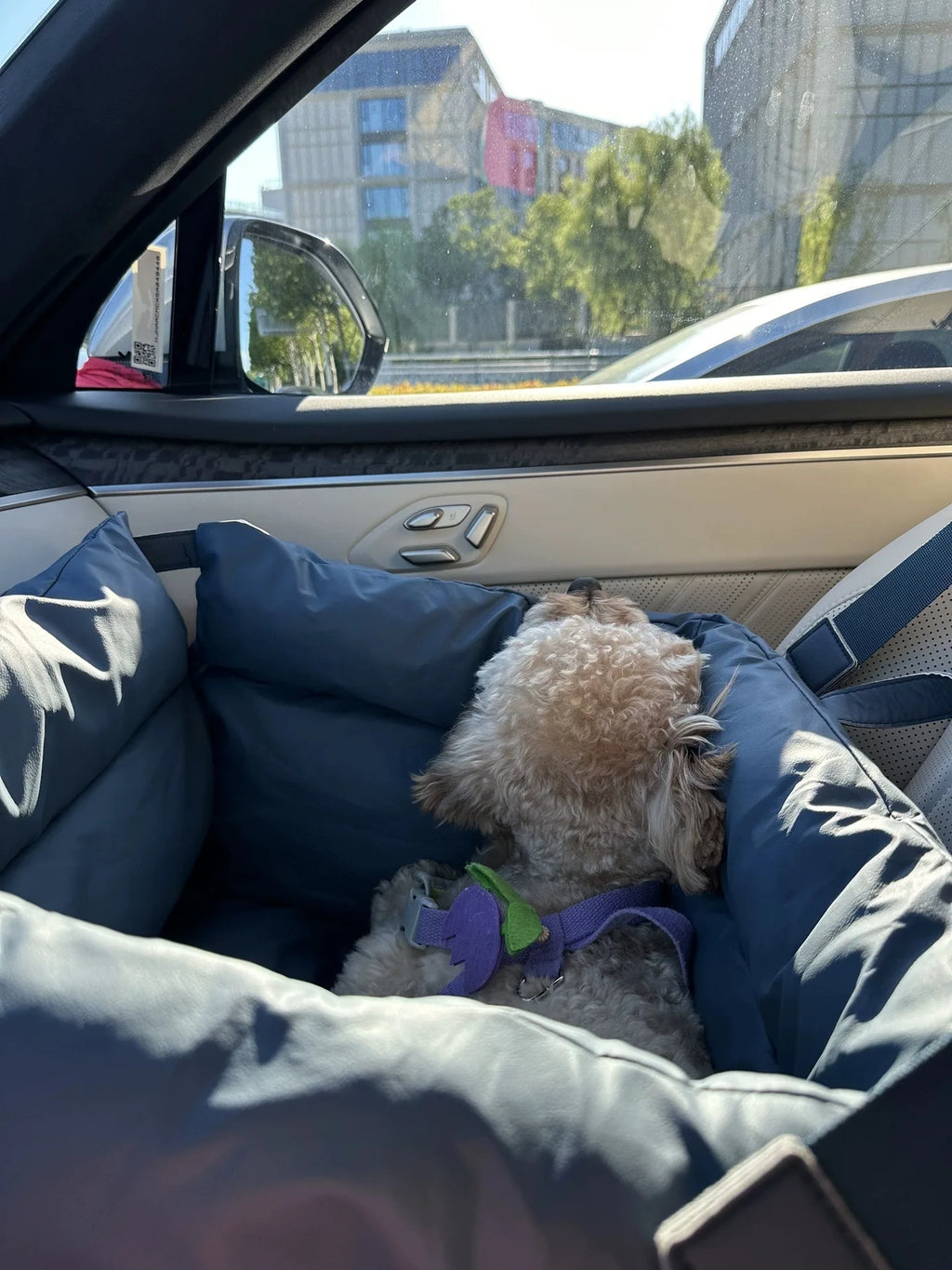 Car Pet Bed, Washable PU Leather Dog Mat, Portable Waterproof Bite-Resistant Small Dog Bed, Non-Slip Pet Car Supplies for Cats
