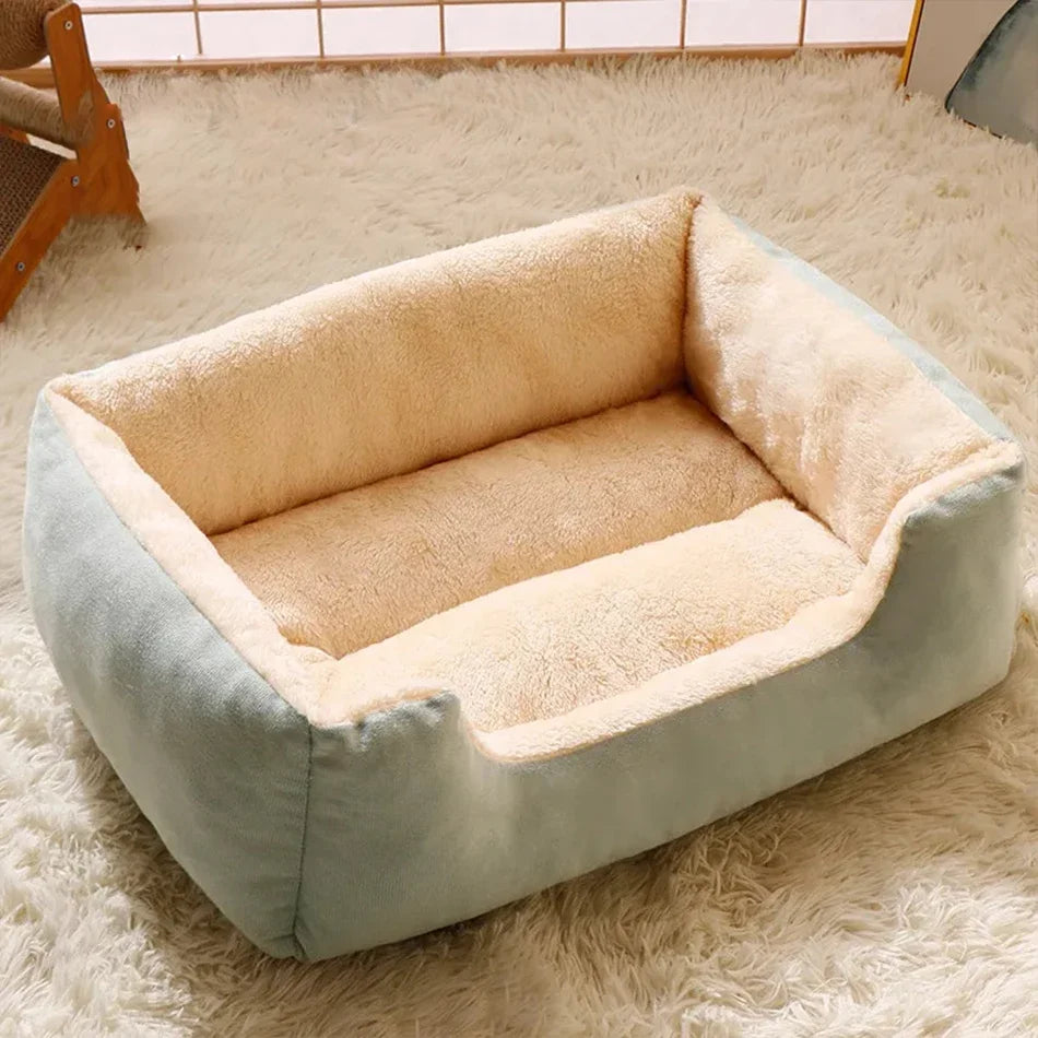 Cats Bed Dog Mat Beds Goods Pet Puppy Accessories All Products Kitten Cushions Things Accessory Houses Habitats House Supplies